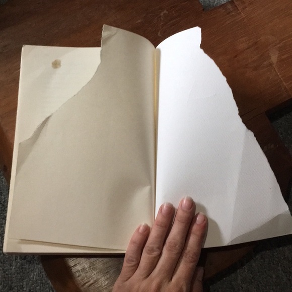 The nest book by Cynthia D’aprix Sweeney novel - Picture 4 of 9